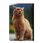 دفتر کلاسور مدل گربه  کد 640